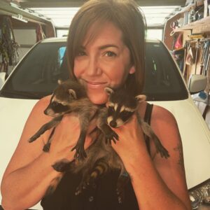Males And Females Racoons puppies for sale