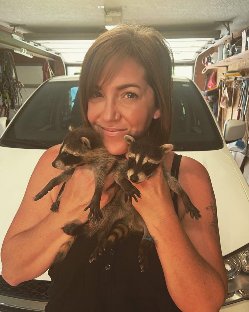 Males And Females Racoons puppies for sale Baby Raccoon